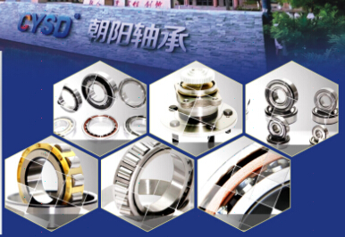 SHANDONG CHAOYANG BEARINGS CO.,LTD